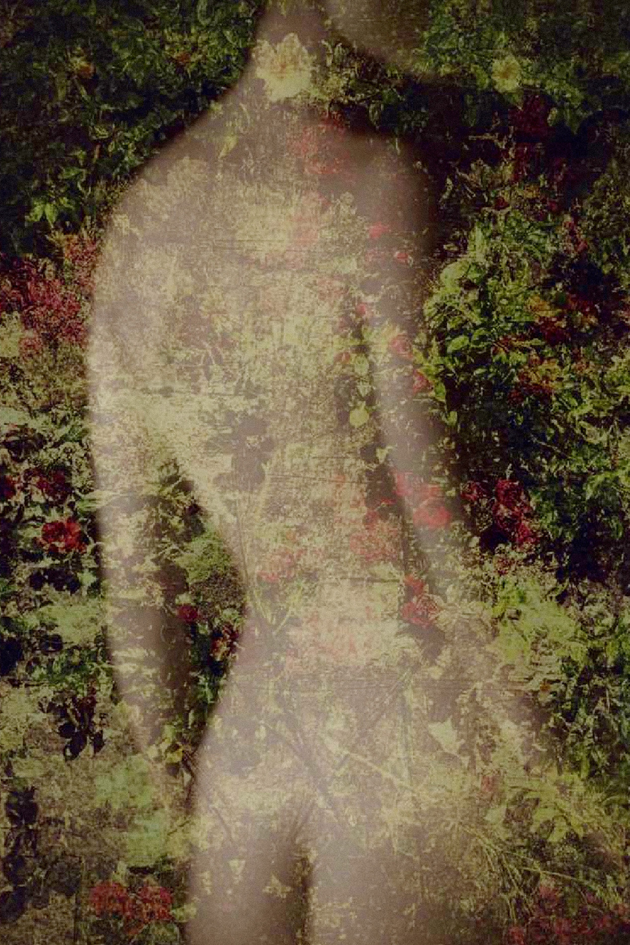 ON_DosNuNastasiaFeuillage2022PhPache