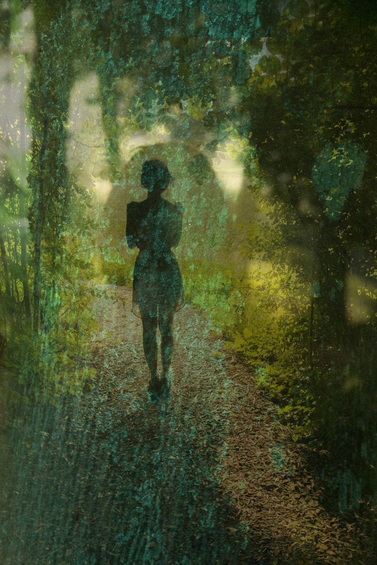 ON_JenniferDeboutForetVertePhPache2017_5851