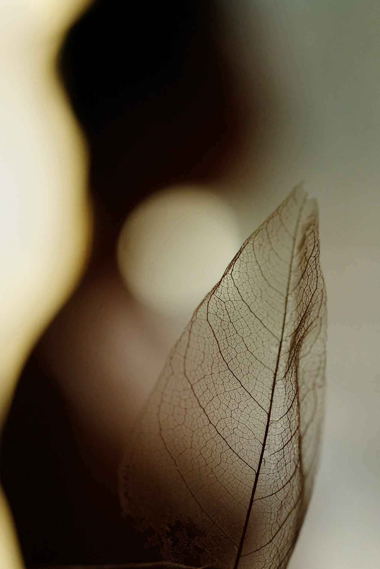 ON_MorganeFeuille2020PhPache_3908printA4